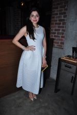 Kanika Kapoor at Meet Bros success bash on 8th Feb 2016